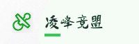 合作伙伴